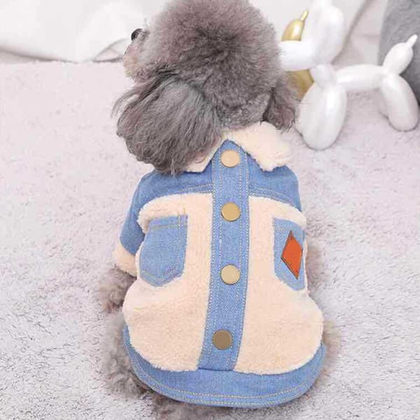 Varm valp jeansjacka Frontspänne Design Varm mjuk hundkappa Vinterjackor Hundkläder blue ｍ