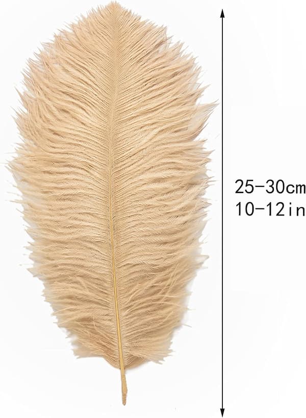 24 stykker 25-30cm (10-12 tommer) naturlige hvite strutsefjær for