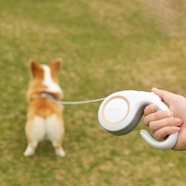 Pet Walking koppel Indragbart hundkoppel WHITE 3M