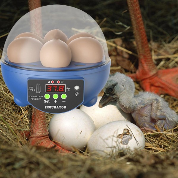 USB 6 Eggs Incubator Automatisk Äggvändare för att kläcka fåglar och