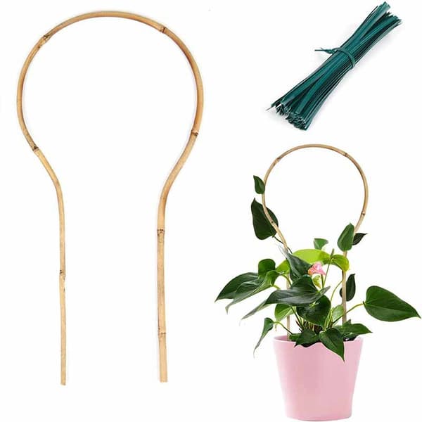 Form Bambus Plantestøtte - 40cm for Innendørs Klatreplanter, Eføy