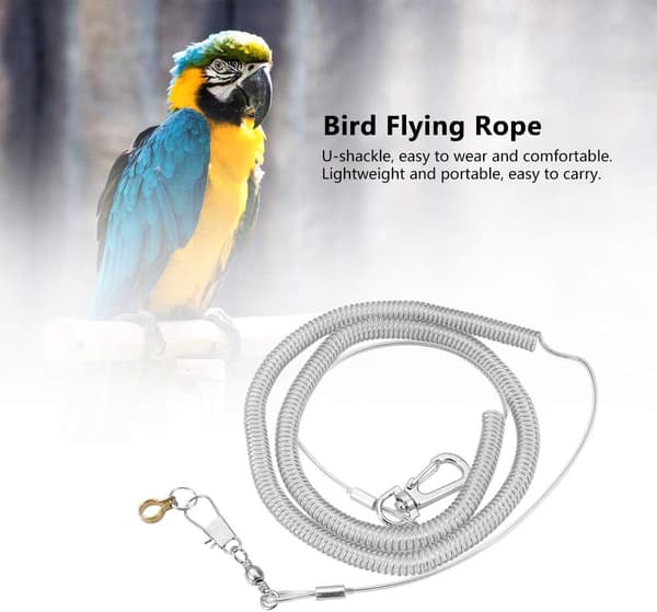 6m(4,5MM) Parrot Bird Anti-Bite Rep Training Husdjurskoppel Kit Ultr
