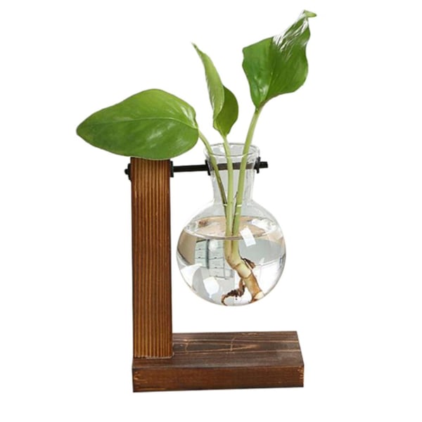 Hydroponisk Transparent Glas Vas Planter Träram Blomma Va C One-size