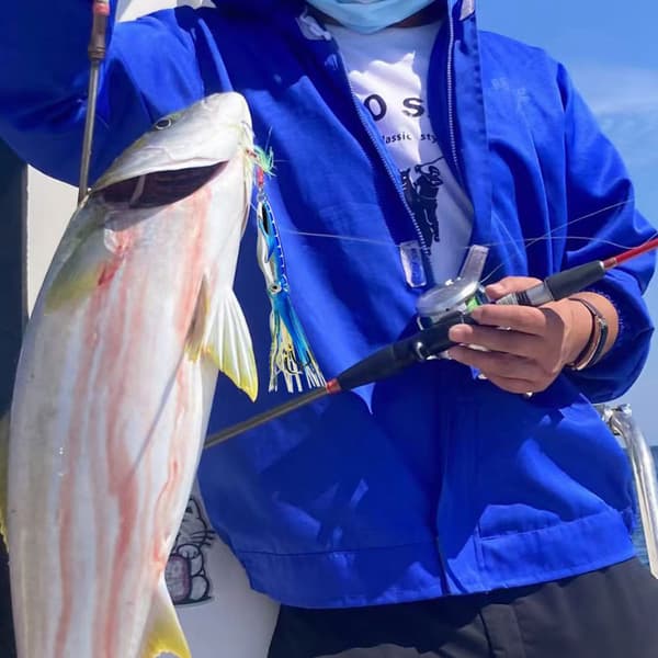 Fisk brun saltvattenbläckfisk bete