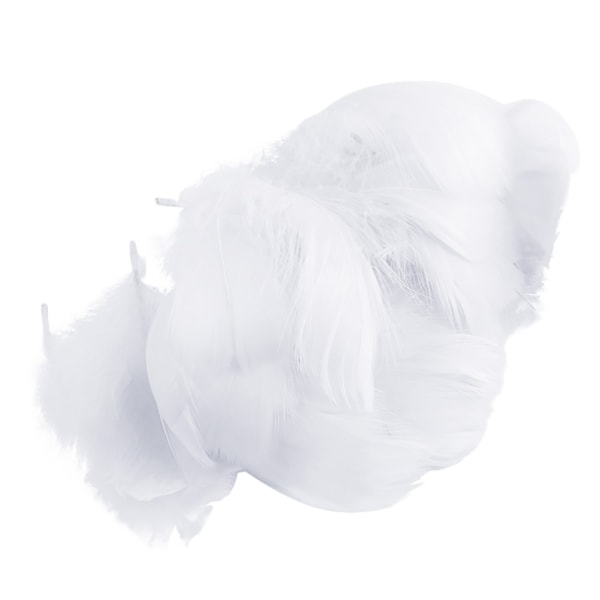100 st flerfärgad fjäder för genomskinlig bobo-ballongfylld födelsedag bröllopsdekoration DIY-blomsterarrangemang null - D