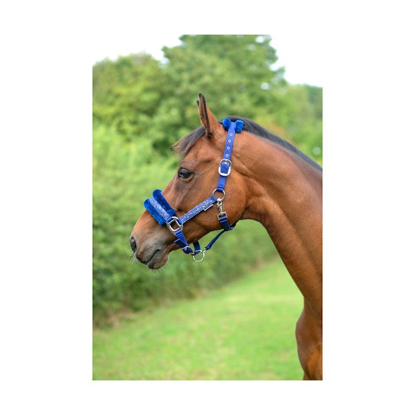 Hy Dazzle Hevosen Rintaremmi Twilight/Navy Cob