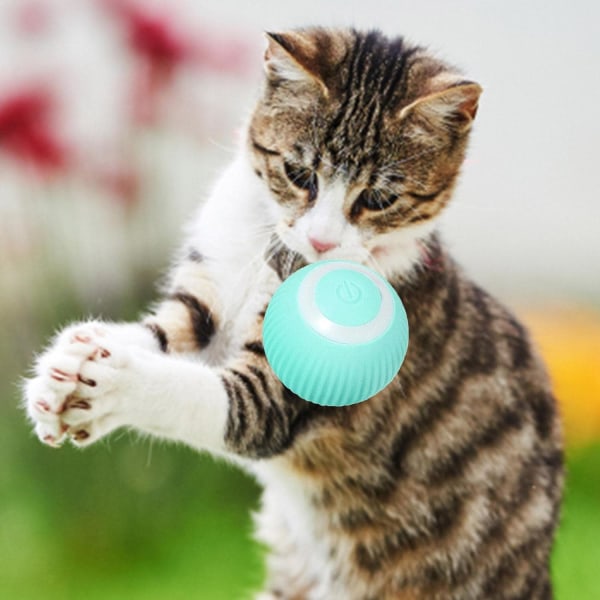 Blå - 1 bit - Interaktiv boll för katter - Interaktiv automatisk - 360° USB - Stimulerar jaktinstinkten