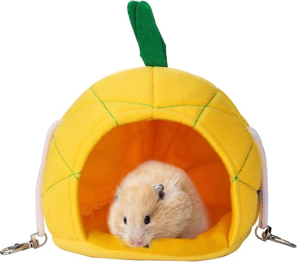 Ananasbo för guldhamster, kavy, igelkott