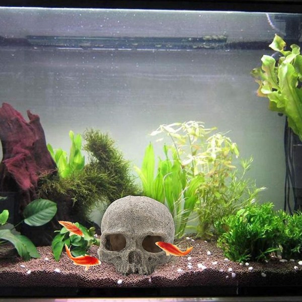 Akvarium Kranie Dekor - Resin Akvarium Dekorationer Hule Betta Fisk Skjulested Reptilhus til Små Fisk og Rejer