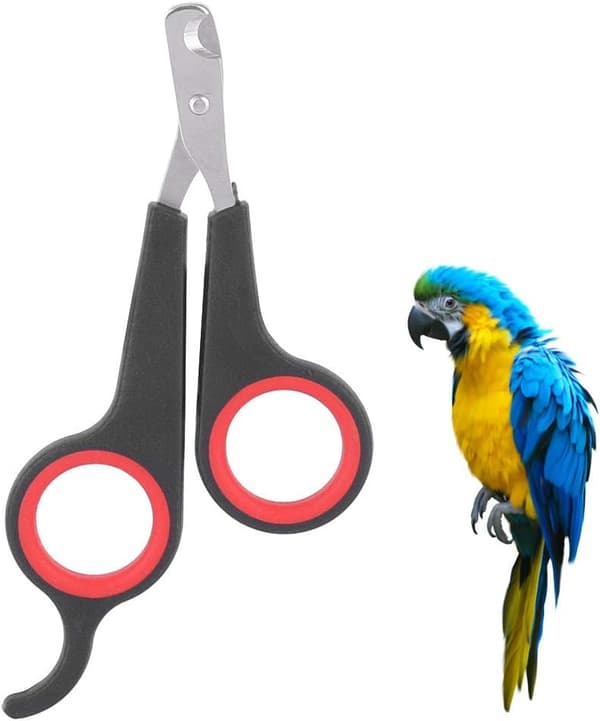 Nagelklippare i solid rostfritt stål, fågelbur Essential Acce