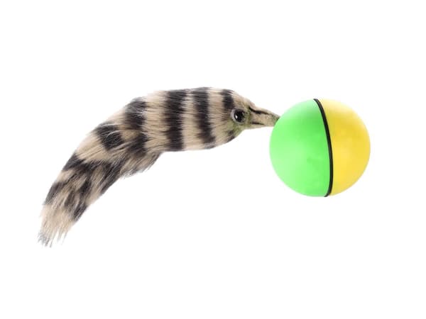 Kattelegetøj / Hundelegetøj - Legetøj til Hund & Kat - Klassisk multicolor
