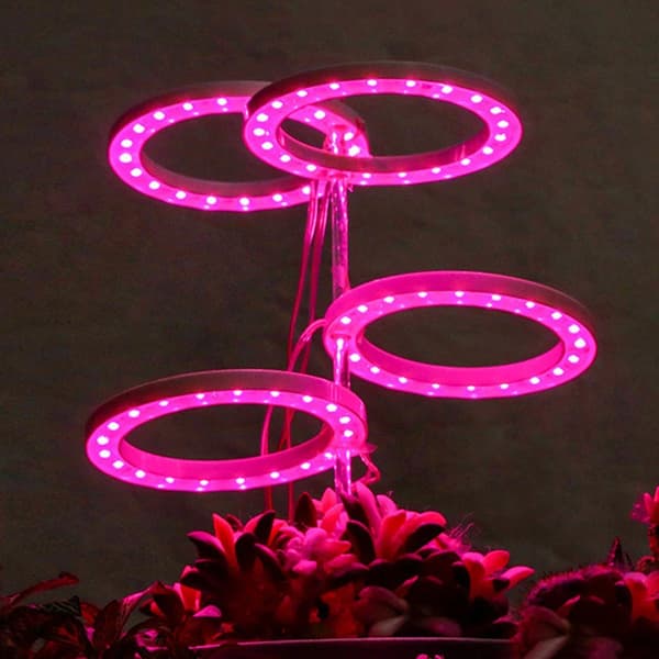 3 Ringer, Plantelampe 1-4 ring lyshode, fullt spektrum, dimbar