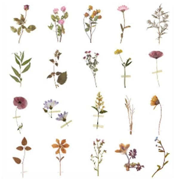 40 stk. Simulering Blomster Scrapbooking Sticker Pack Planter Serie Transparent Mærkat