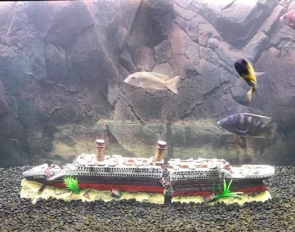Akvariumdekoration i form av Titanic-vraket - i resin