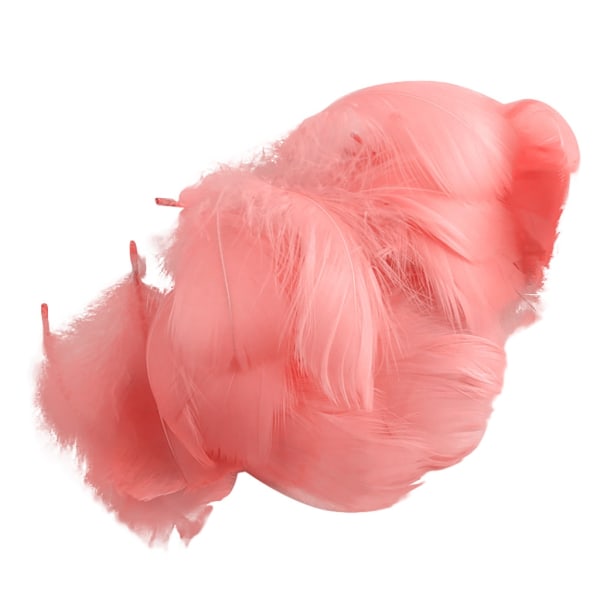 100 st flerfärgad fjäder för genomskinlig bobo-ballongfylld födelsedag bröllopsdekoration DIY-blomsterarrangemang null - A