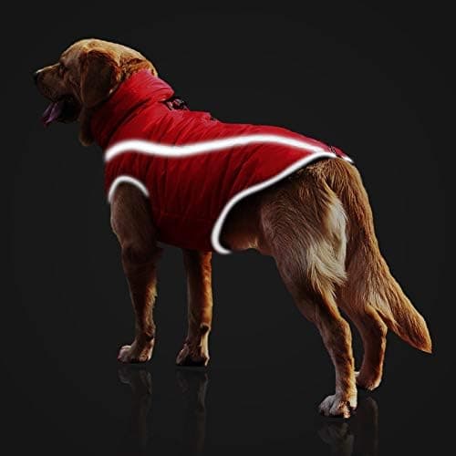 Vanntett Hundekåpe Vinter Varmt Jakke, Kjæledyr Klær Vindtett