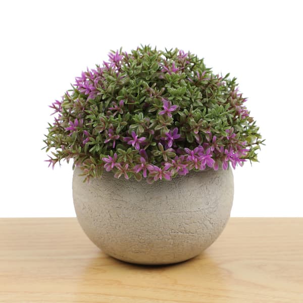 Kunstig stueplante mini kunstige planter potter eukalyptus rosmarin