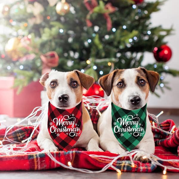 2-pack jul pläda hundsnusnäsdukar, god jul snöflinga