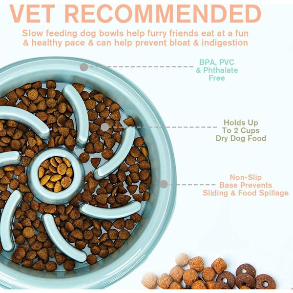Anti Glutton Dog Cat Bowl, Slow Food Bowl för hundar, halkfri foder