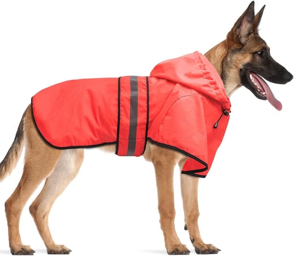 Sadetakki koirille Poncho