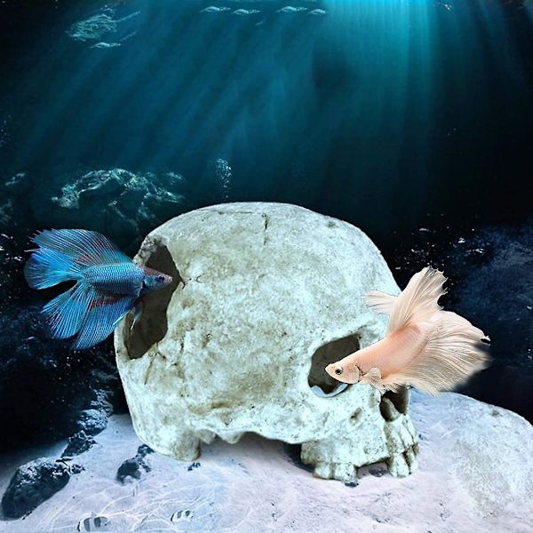 Akvarium Hodeskalle Dekor - Resin Akvarium Dekorasjoner Hule Betta Fisk Gjemmested Reptilhus for Små Fisker og Reker