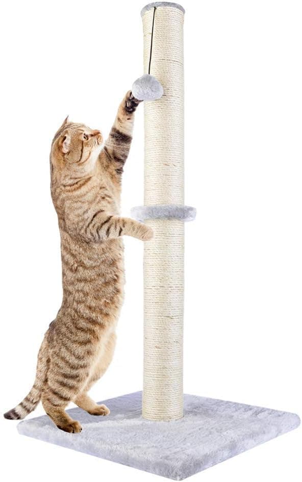 Sammenleggbart klatrestativ for katter, klorebrett, bærbart kattetre