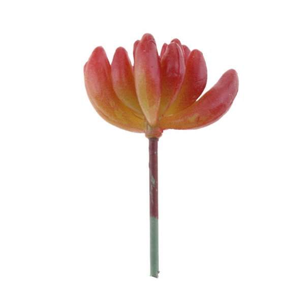 2,95' kunstig sukkulentplante Echeveria kontorhjeminnredning DIY #9