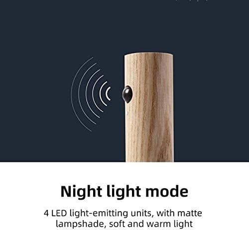 Intelligent menneskelig induktiv natlampe B