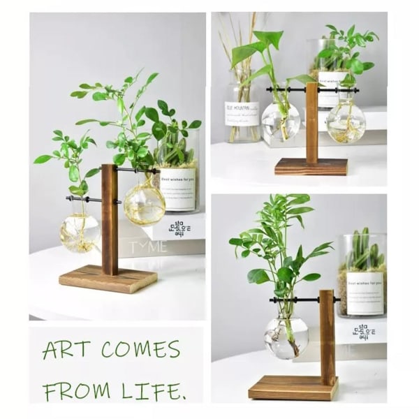 Hydroponisk Transparent Glas Vas Planter Träram Blomma Va C One-size