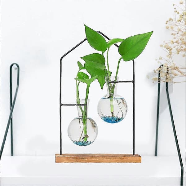 Bordsställ för växtförökning, hydroponisk växtblomdekorationsvas, transparent glas för vardagsrum