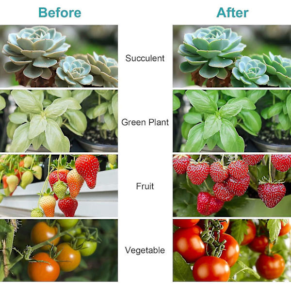 Full Spectrum Led Plant Light 10w E27 Plant Light Full Spectrum