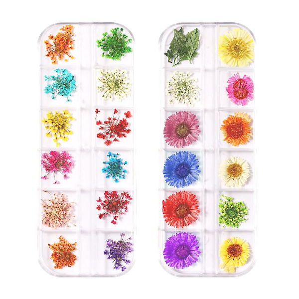 2 lådor Nageltorkade blommor, nail art Decor Manikyrdekor Blandad torkad blomma style1
