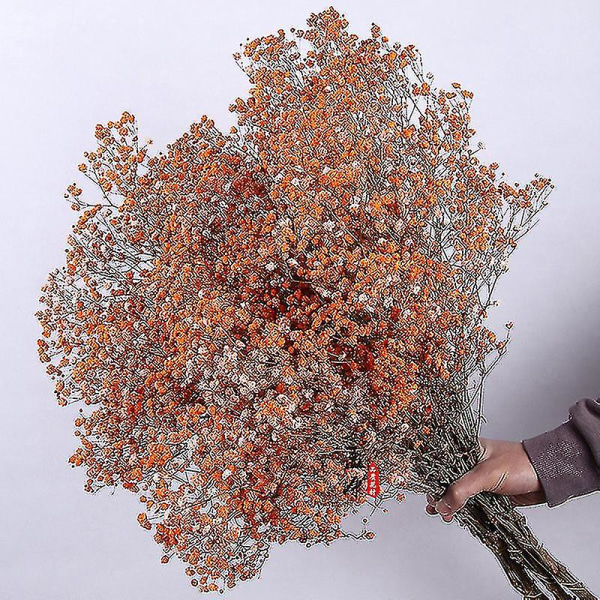 Naturlige friske tørrede blomster Gypsophila Buket Bryllup Boligindretning rose Red