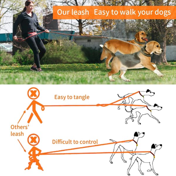 Dubbelt hundkoppel (M-3,5mm*60cm) Dubbel hundkedja 2-vägs krom