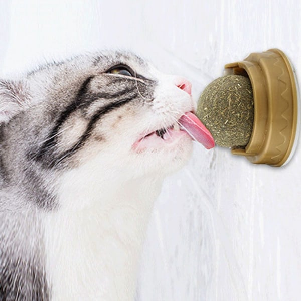Naturlig kattemynte Cat Wall Stick-on Ball Leke
