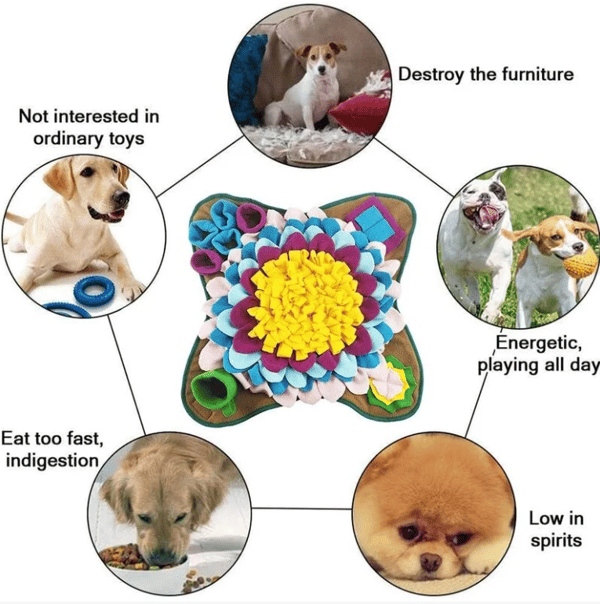 Hundesnusemåtte, snusemåtte til hunde, snusemåtte til hunde, hundetræningsmåtte snusemåtte Langsom fodringslegetøj Hundesnusemåtte No. 2