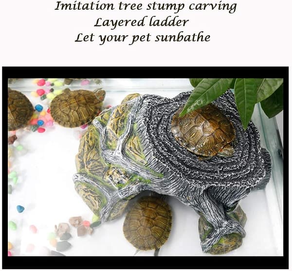 Turtle Sanctuary Terrarium Land Cave Reptil Rampe Plattform Sanctu