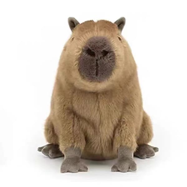 Clyde Kapybara K21 x L24 CM