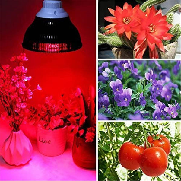 18 Ls Växttillväxt Glödlampa Trädgård Växthus R Blå blommor Te 54W*