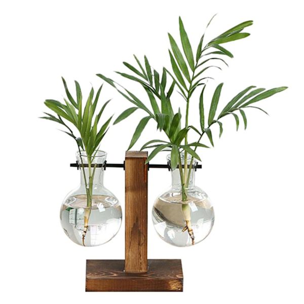 Hydroponisk Transparent Glas Vas Planter Träram Blomma Va C One-size