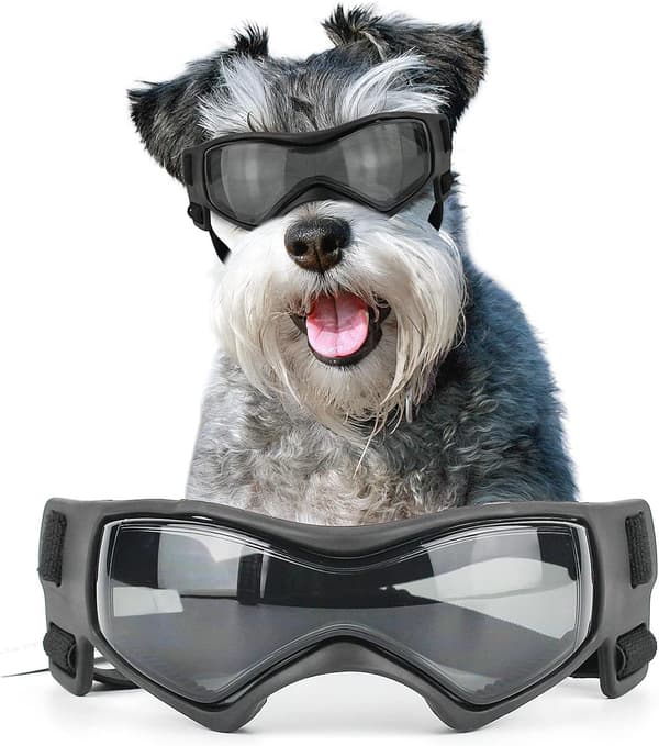 Beskyttende hundeglas Medium Anti-UV solbriller til små til mellemstore