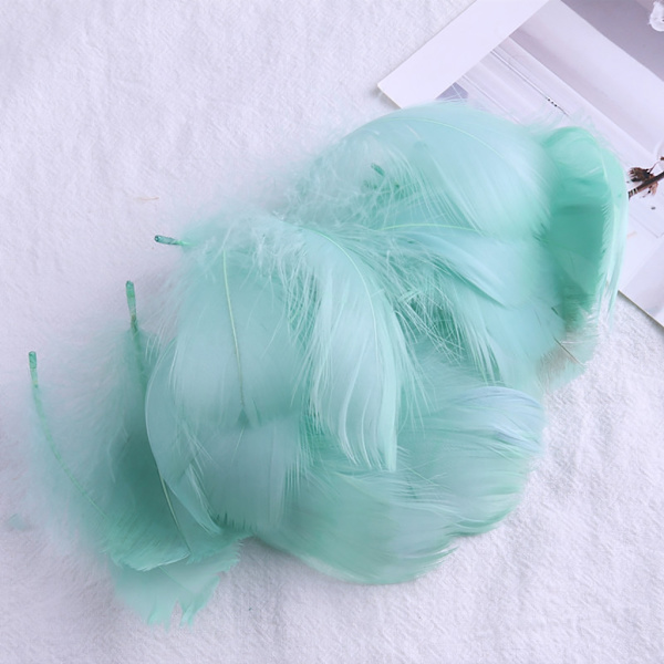 100 st flerfärgad fjäder för genomskinlig bobo-ballongfylld födelsedag bröllopsdekoration DIY-blomsterarrangemang null - A