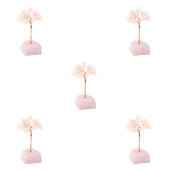 1/2/3/5 Onnenpuu Kodin sisustus Hieno käsityö ja luonnollinen powder+powder 13cm 5PCS