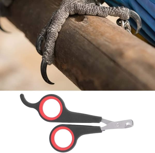 Nagelklippare i solid rostfritt stål, fågelbur Essential Acce