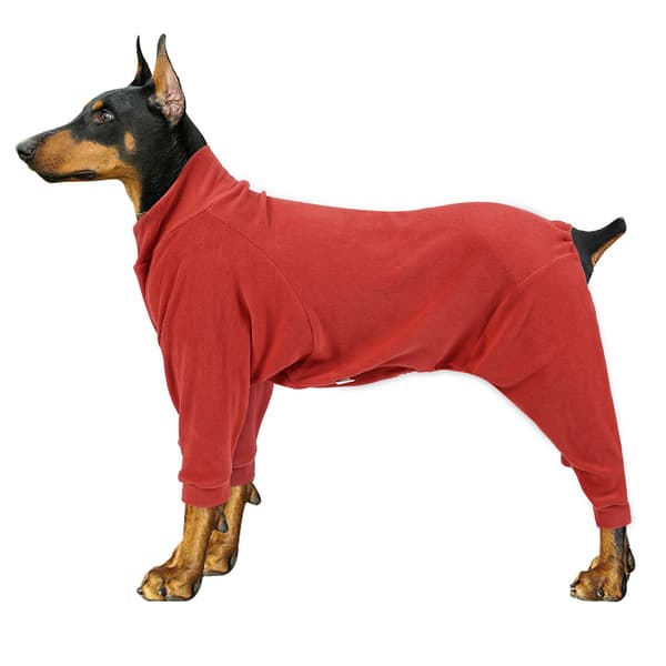 Hundkläder Höst och vinter Gyllene hår Medium Hund Stor hund