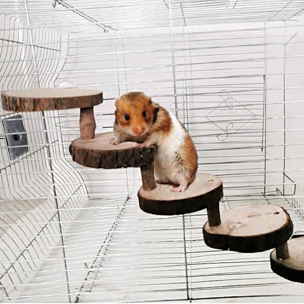 Träningsleksak för hamster, klätterleksak för hamster i trä