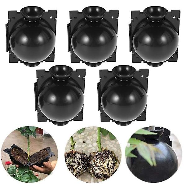 10st Plant Rooting Ball Ympning Rooting Box Plant Odling Box White L