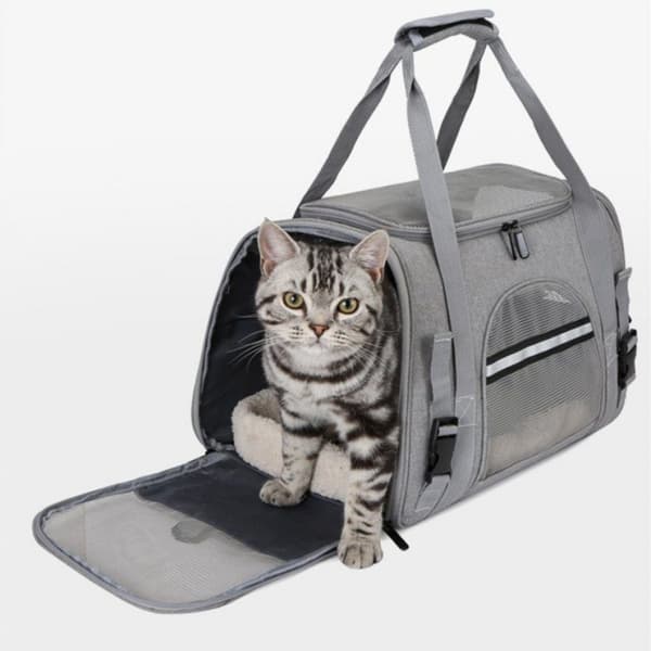 Transporttaske til dyr, katte, sammenklappelig bæretaske, katte transportboks