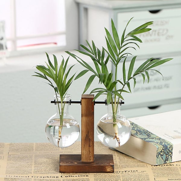 Hydroponisk Transparent Glas Vas Planter Träram Blomma Va C One-size