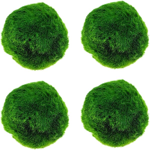 4-pack mossbollar, ger viktiga näringsämnen, rensar vatten